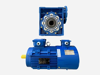 Reducer (with Motor)
