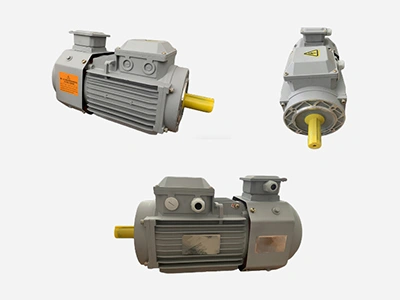 Reducer Motor