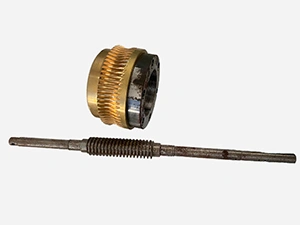 Worm Gear and Worm Shaft (Leeds)